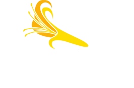 Honeysuckle Home Care Ltd